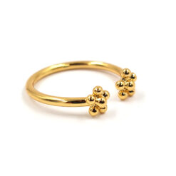 Anillo Doble Flor Delicada
