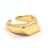 Anillo elegancia abstracta