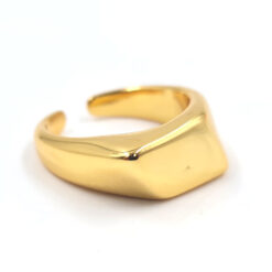 Anillo elegancia abstracta