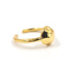 Anillo caparazón de tortuga