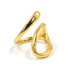 Anillo Doble Espiral