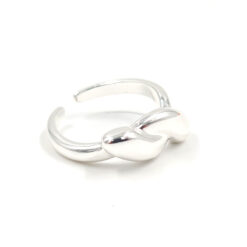 Anillo Nube