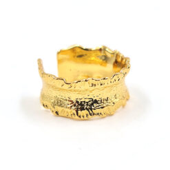 Anillo Duna